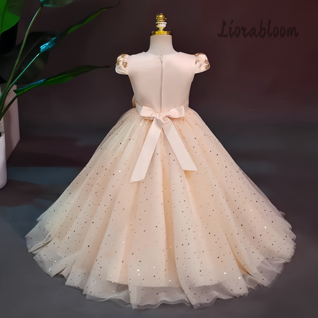 Formal Multicolor Evening Gown - Formal Wear Women Us 리뷰 및 가격