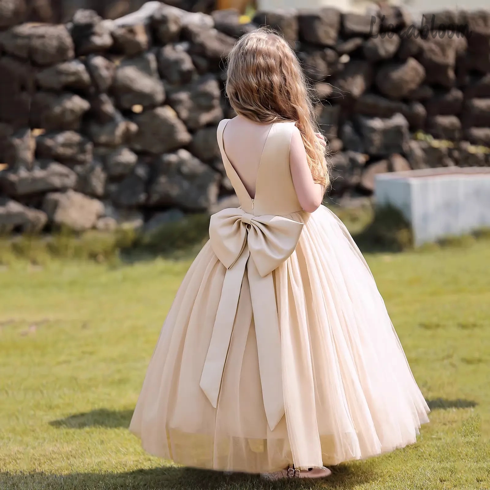 Multicolor Backless Princess D - Formal Wear Women Us 리뷰 및 가격
